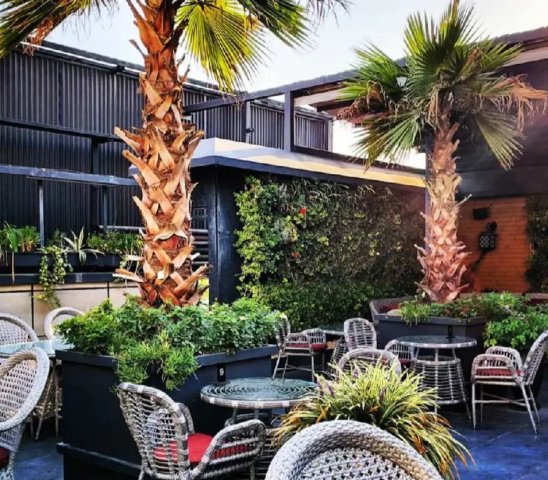 رستوران ارکیده